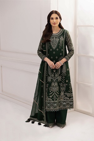 Embroidered Chiffon Green - V14D10