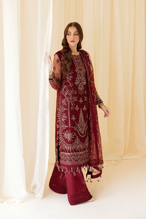 Embroidered Net Maroon - V14D08