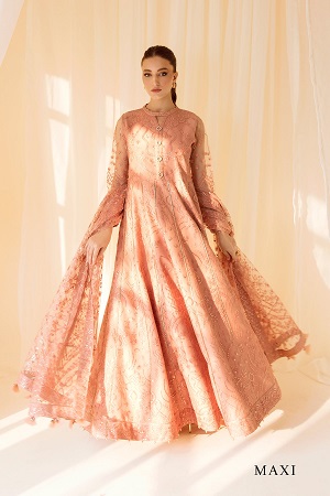 Embroidered Net Peach - V14D09