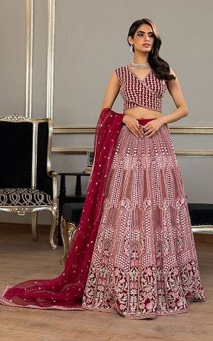 ORGANZA EMBROIDERED BLOUSE AND LEHENGA