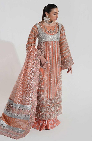 Formal Dress - Parivash (FFD-0095)